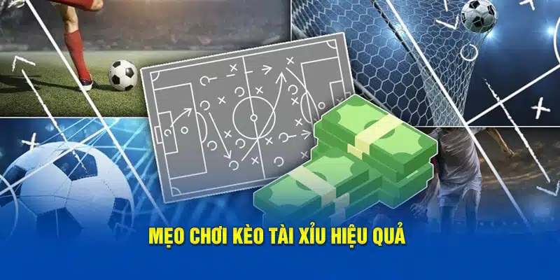 Mẹo chơi tài xỉu thắng lướn dành cho các bet thủ nhà cái THABET