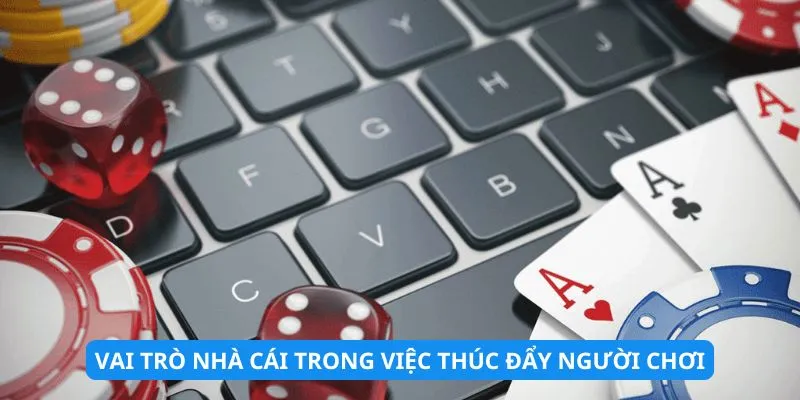 Vai trò của nhà cái trong việc thúc đẩy tinh thần chơi có trách nhiệm 